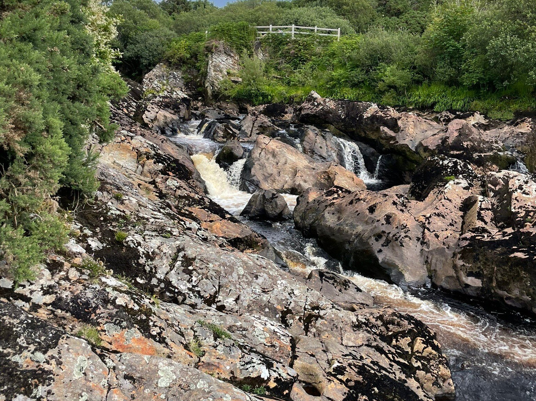 Carrick River Walk-Carrick必去景点