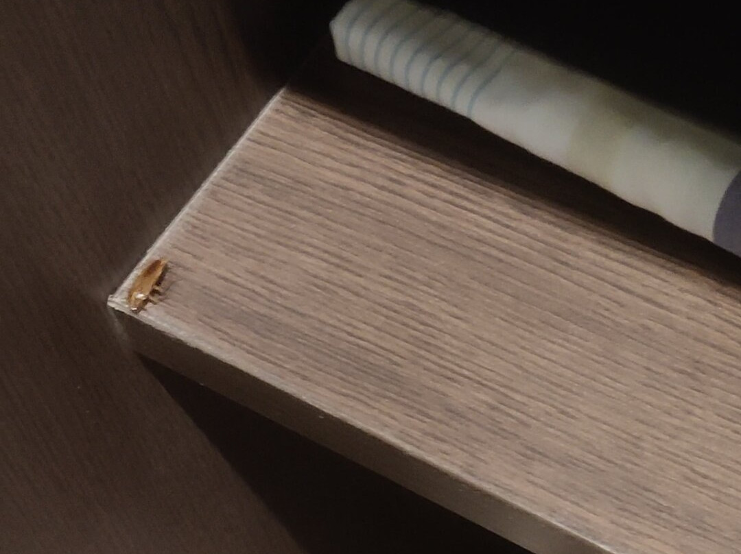 The Fern Sardar Sarovar Resort, Ekta Nagar主图