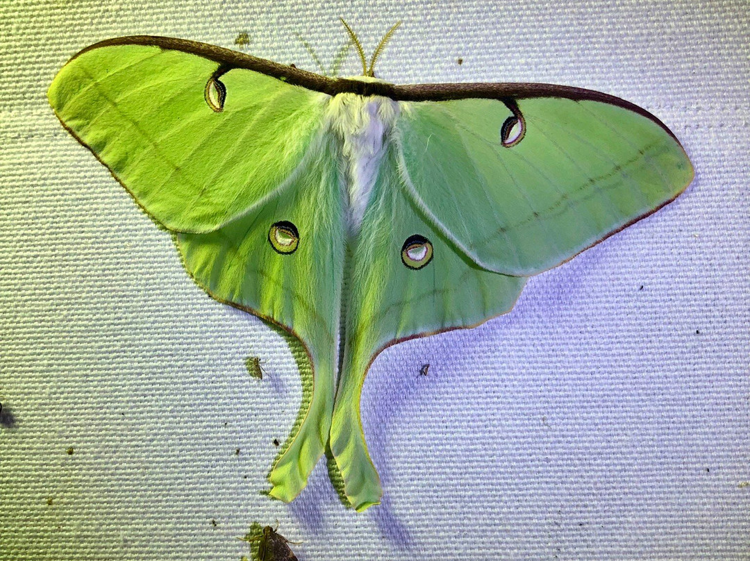 Allen Acres Bed and Breakfast主图