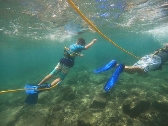 Snuba Tours of Kauai-可洛亚必去景点