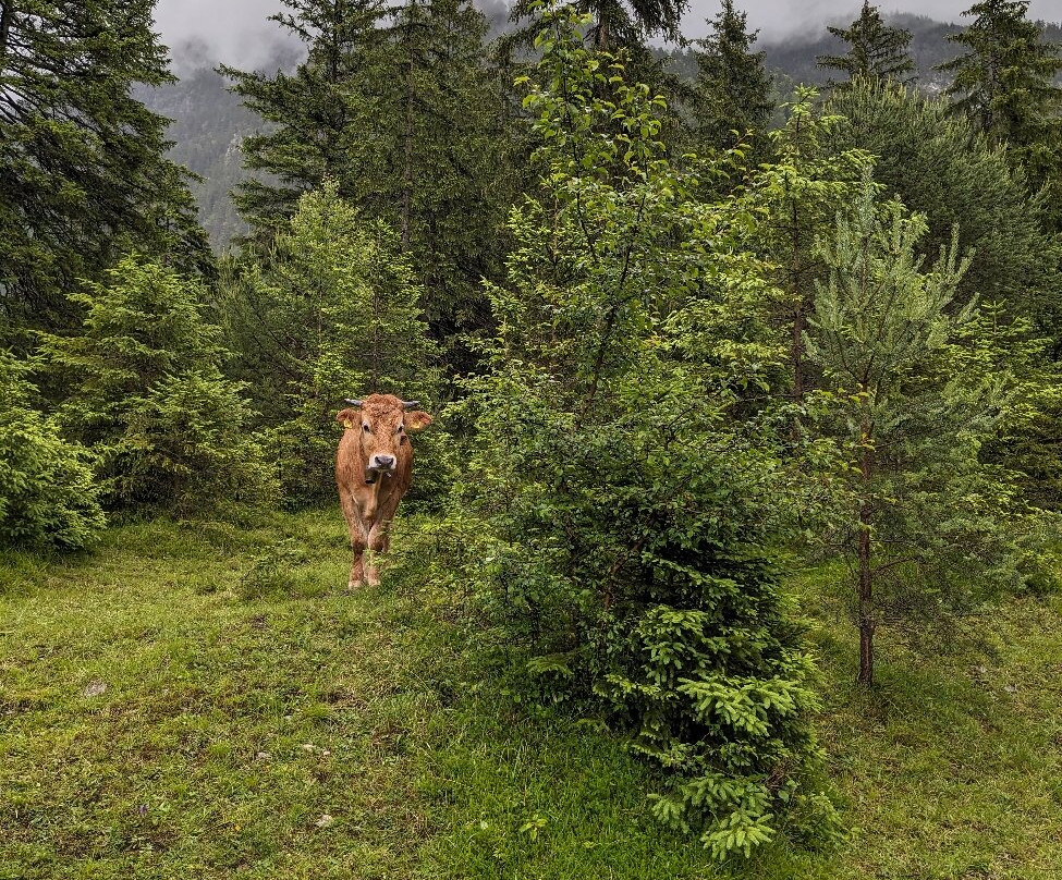 Kuhflucht Wasserfall-Farchant必去景点