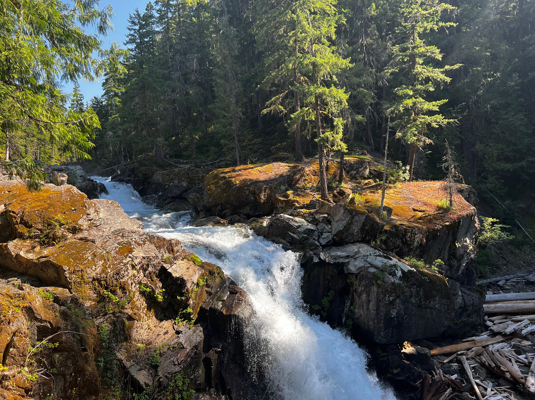 Cowlitz River Lodge主图