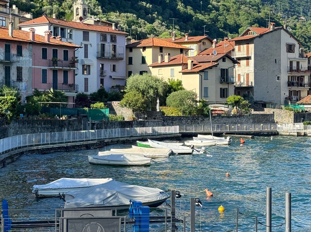 Musa Lago Di Como主图
