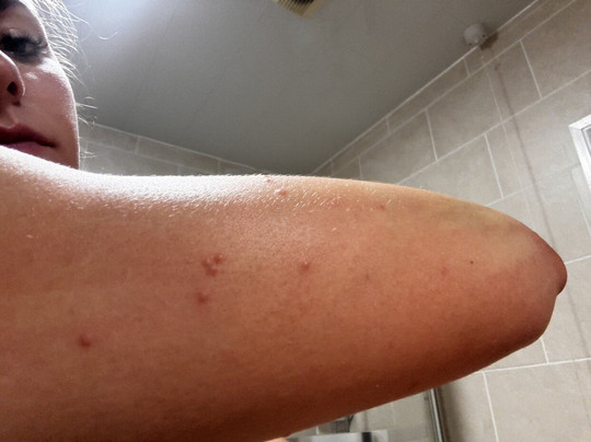 Residenza La Campana主图