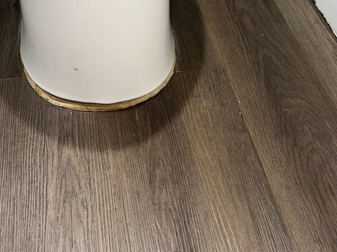 Quality Suites Wildwood - The Villages主图