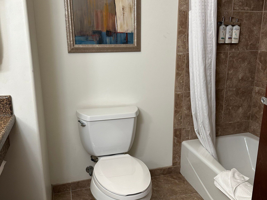 兰德快捷假日&套房酒店主图