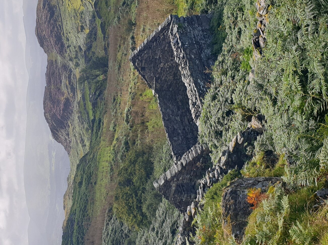 Panorama Walk景点图片