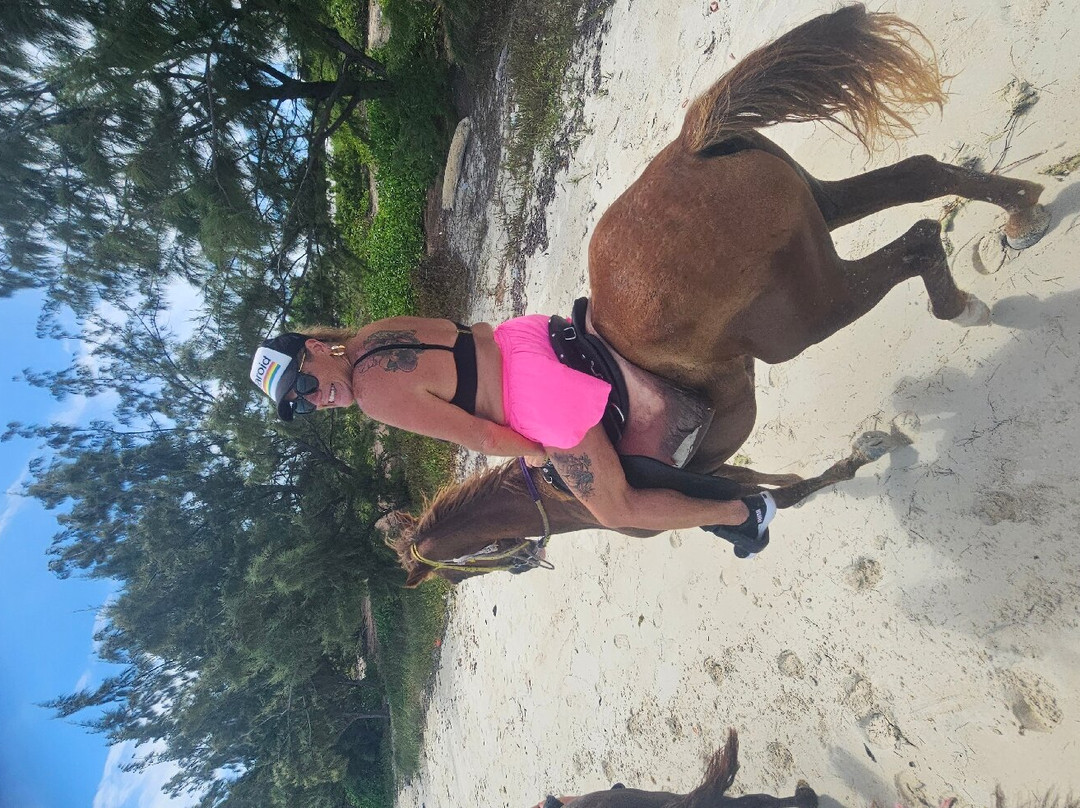 Heritage Tours & Horseback Riding-普罗维登西亚莱斯必去景点