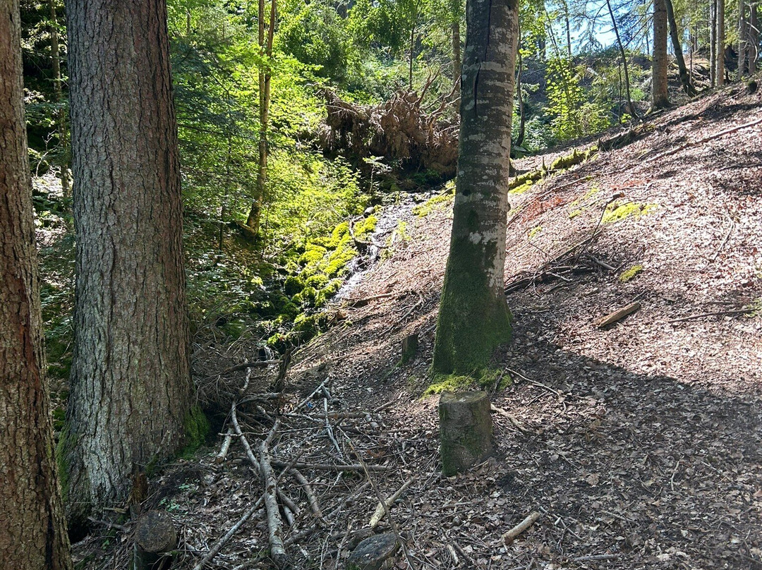 Lac des Evettes-Flumet必去景点