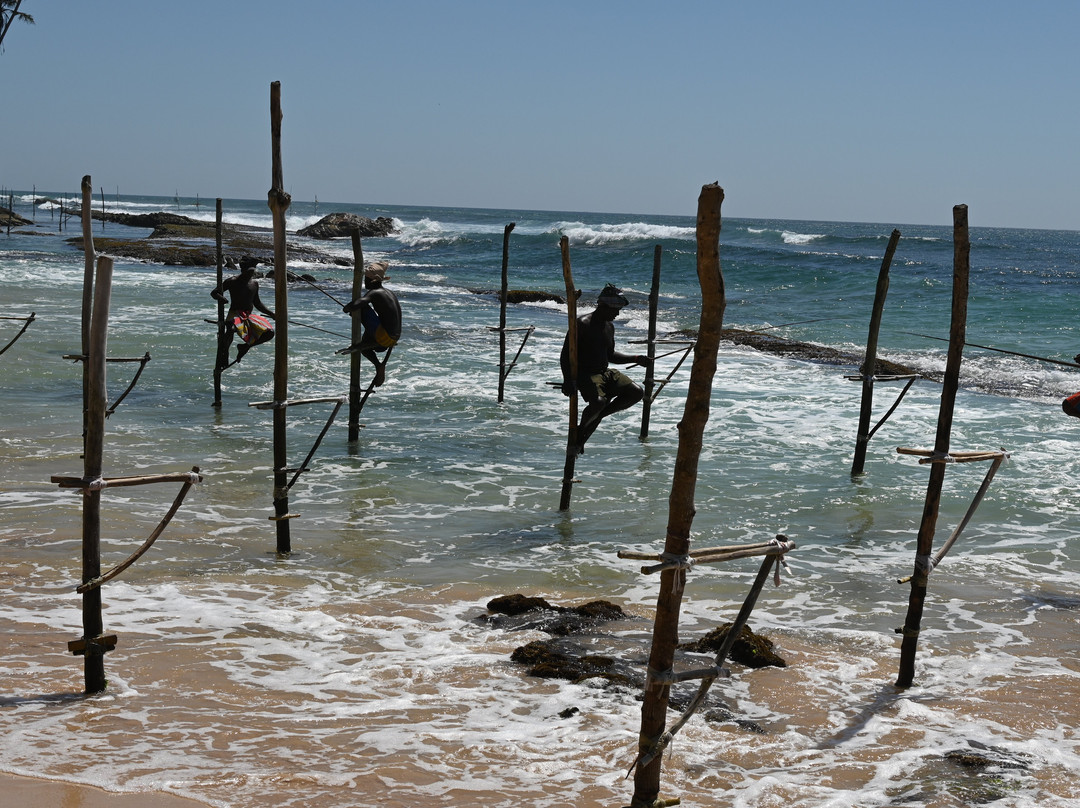 Explore Lanka Tours By Sahan-佩拉德尼亚必去景点