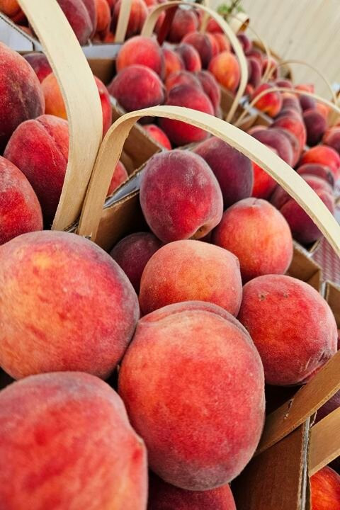 Gatewood Vegetable Farm & Greenhouses, Inc.-Noblesville必去景点