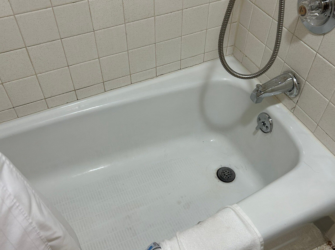 Travelodge by Wyndham Powell主图