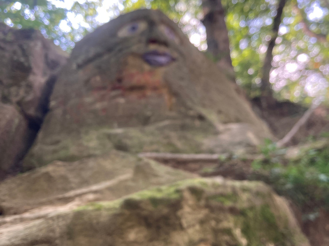 Cave Hollow Park景点图片