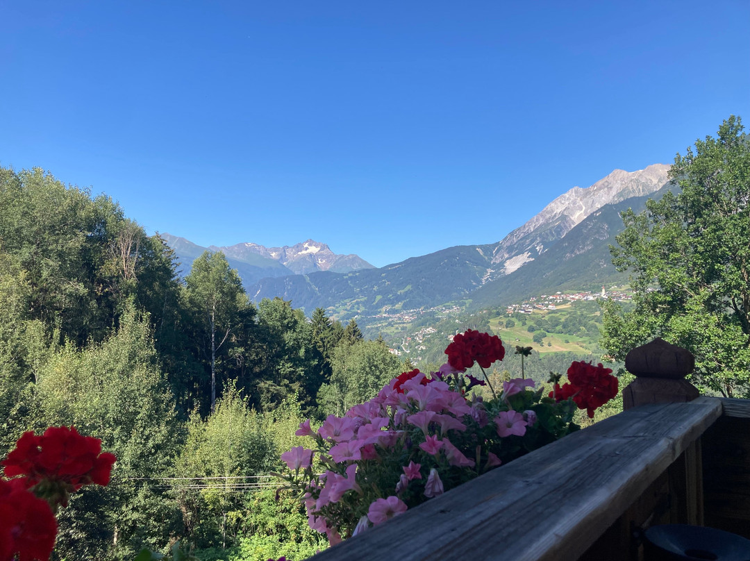 Hotel Tramserhof主图