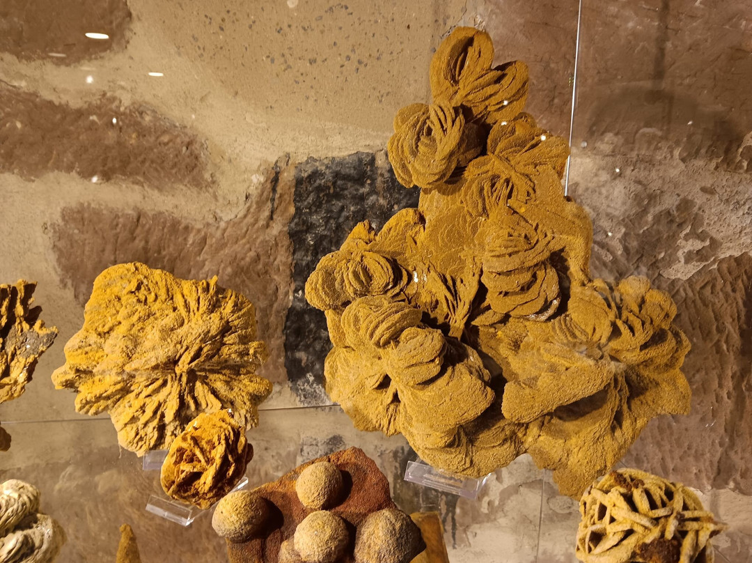 Sandrosenmuseum Buedingen景点图片