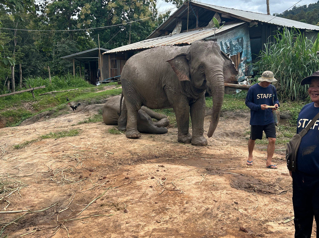 Sawasdee Chiang Mai Tour-清迈必去景点