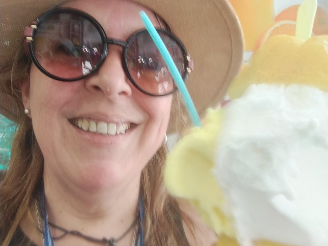 IAMME IA Gray Line-索伦托必去景点