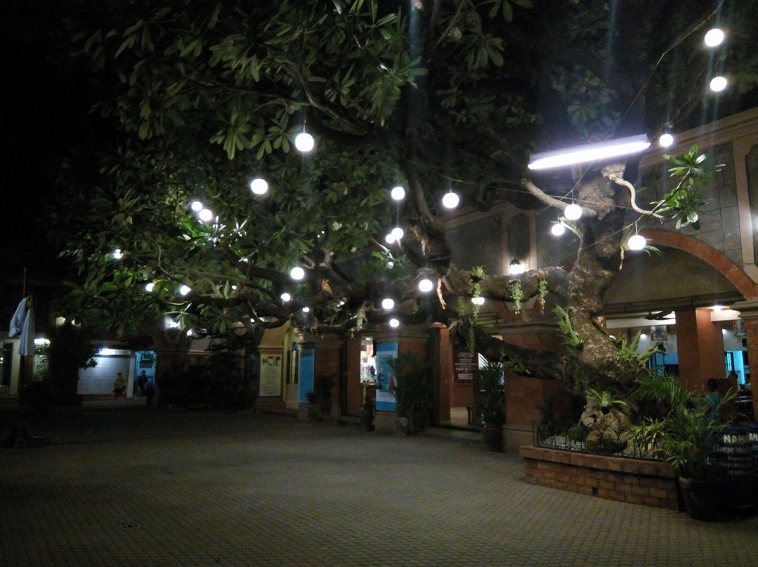 St. Nicholas of Tolentine Cathedral景点图片