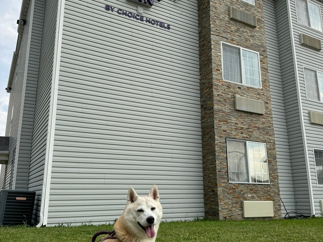 Sleep Inn St. Robert - Fort Leonard Wood主图