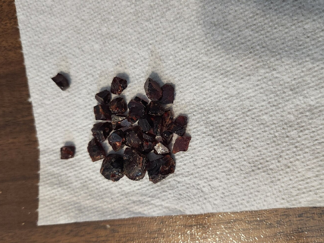 Garnet Mine Tours景点图片