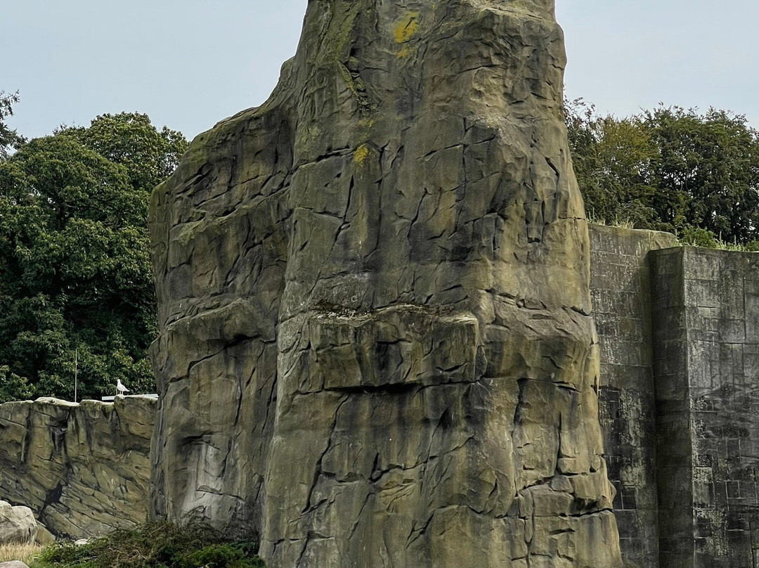 Rostock Zoo景点图片