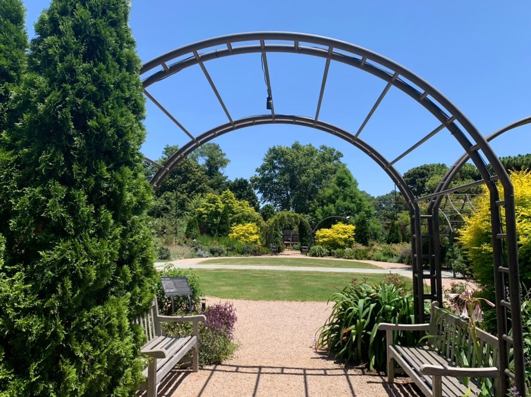 JC Raulston Arboretum at NC State University景点图片
