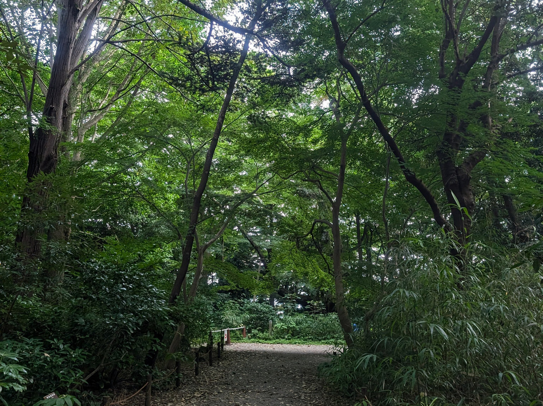Kanazawa Castle Park景点图片