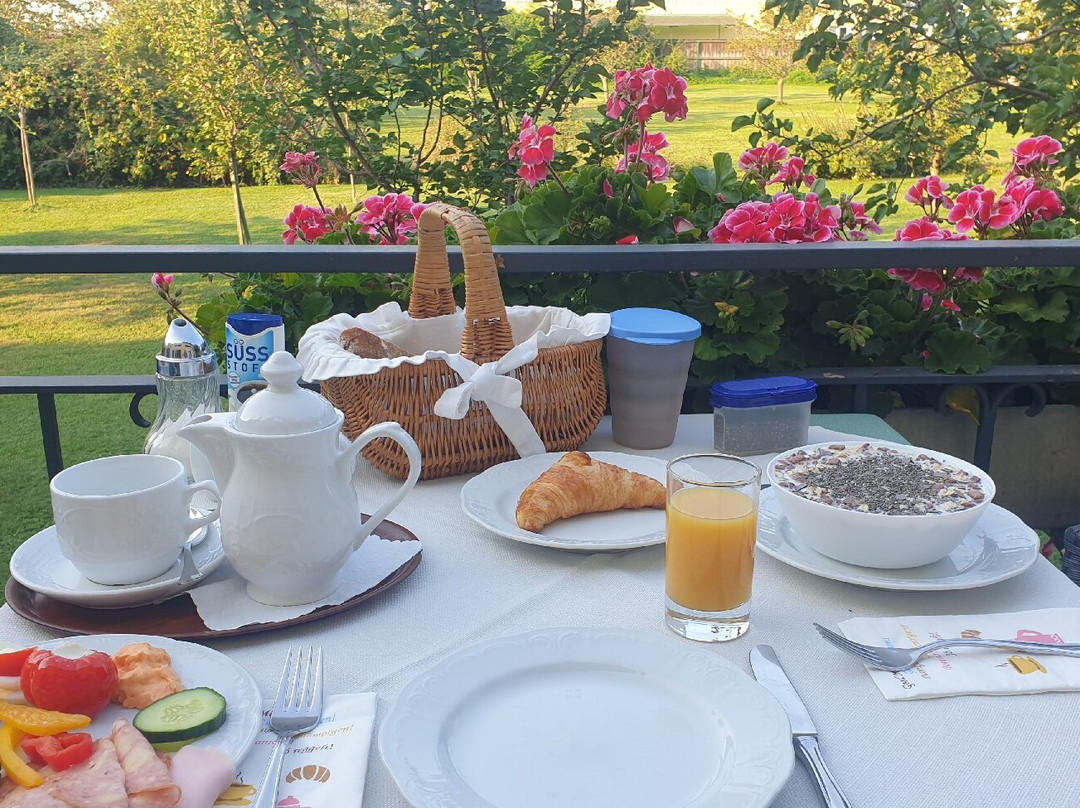 加尔尼多瑙河花园酒店主图