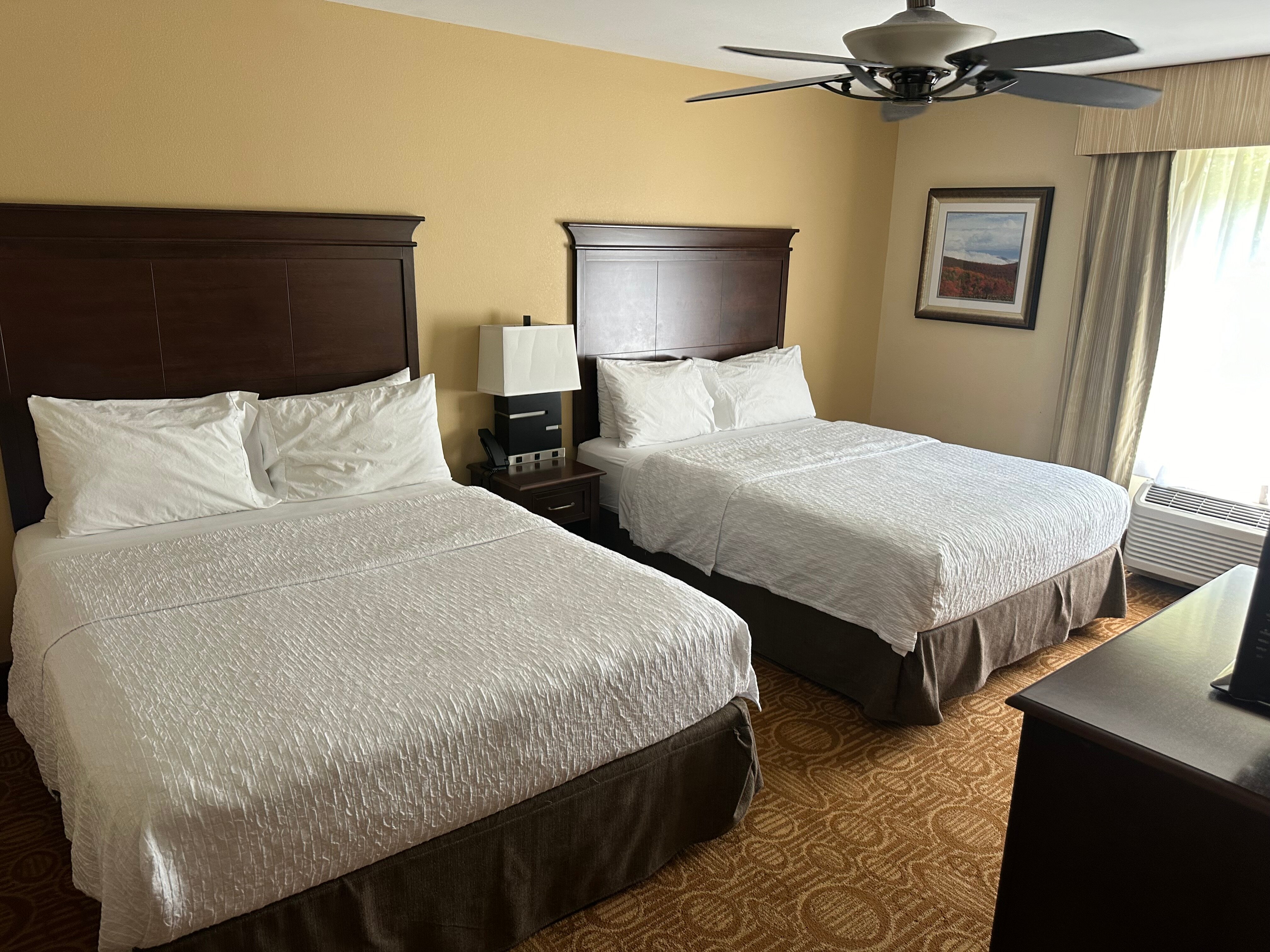 Homewood Suites by Hilton Binghamton/Vestal, NY-客卧