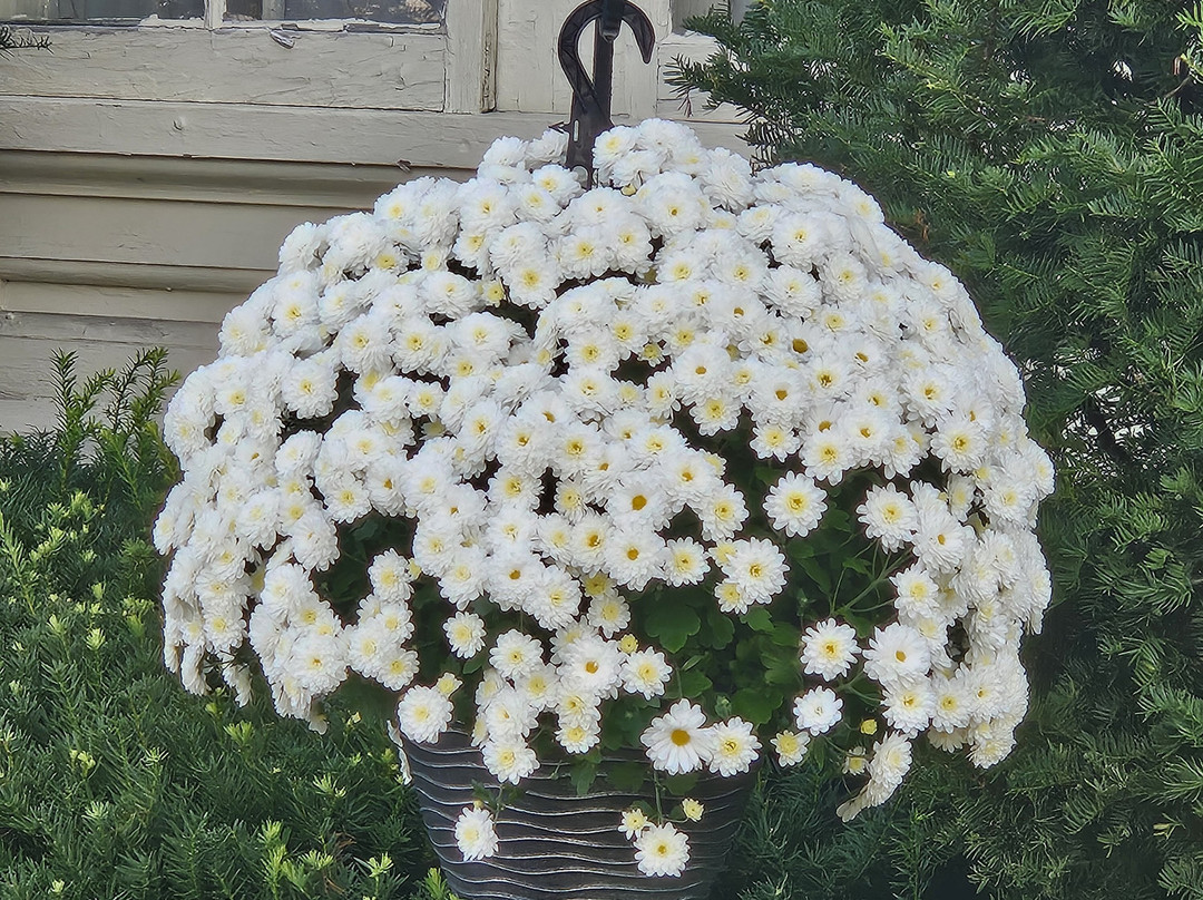 The Jeremiah Mason House Bed & Breakfast主图