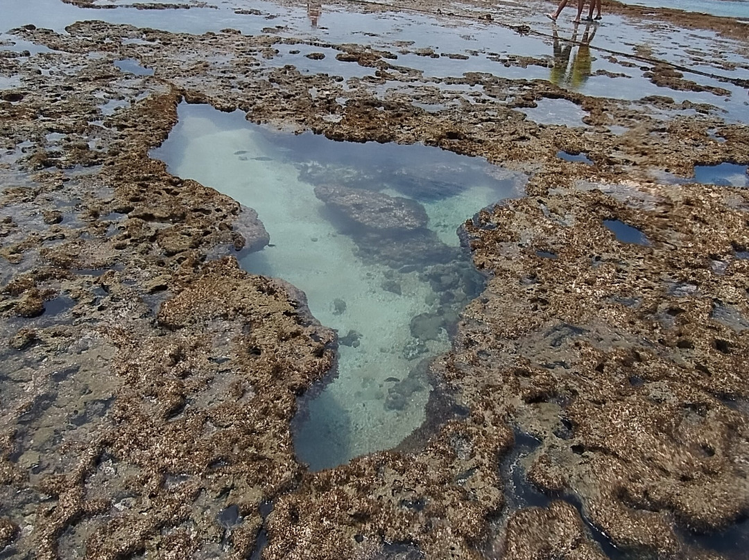 Edsonturismo-嘎林海斯港必去景点