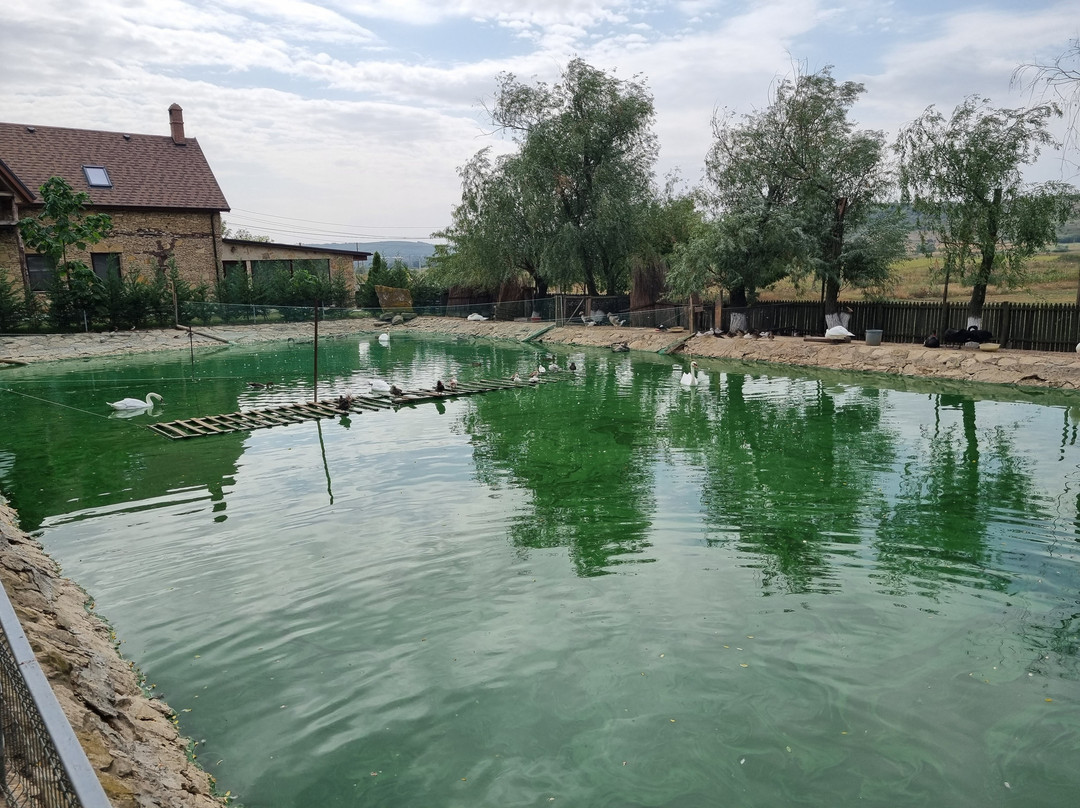 ZooClub-Bardar必去景点