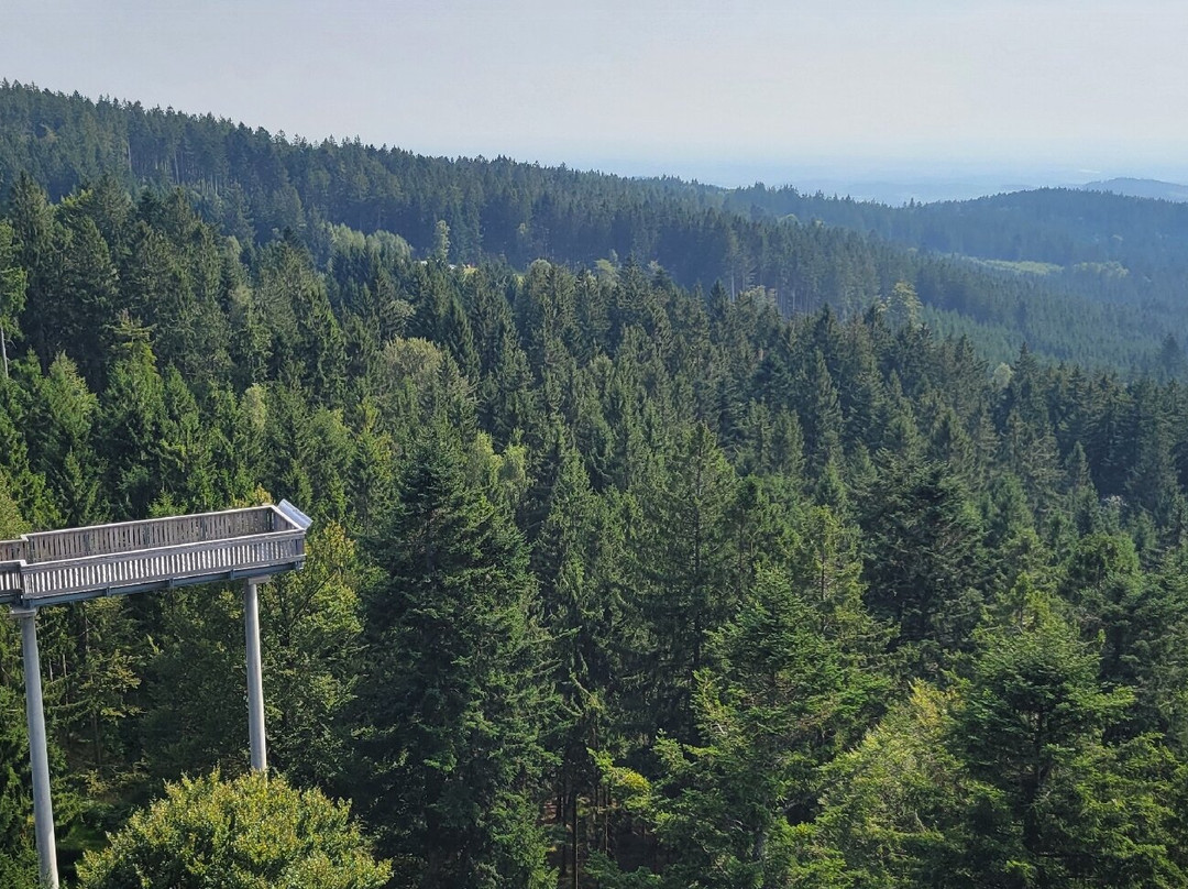 Baumwipfelpfad Bavarian Forest-Neuschonau必去景点
