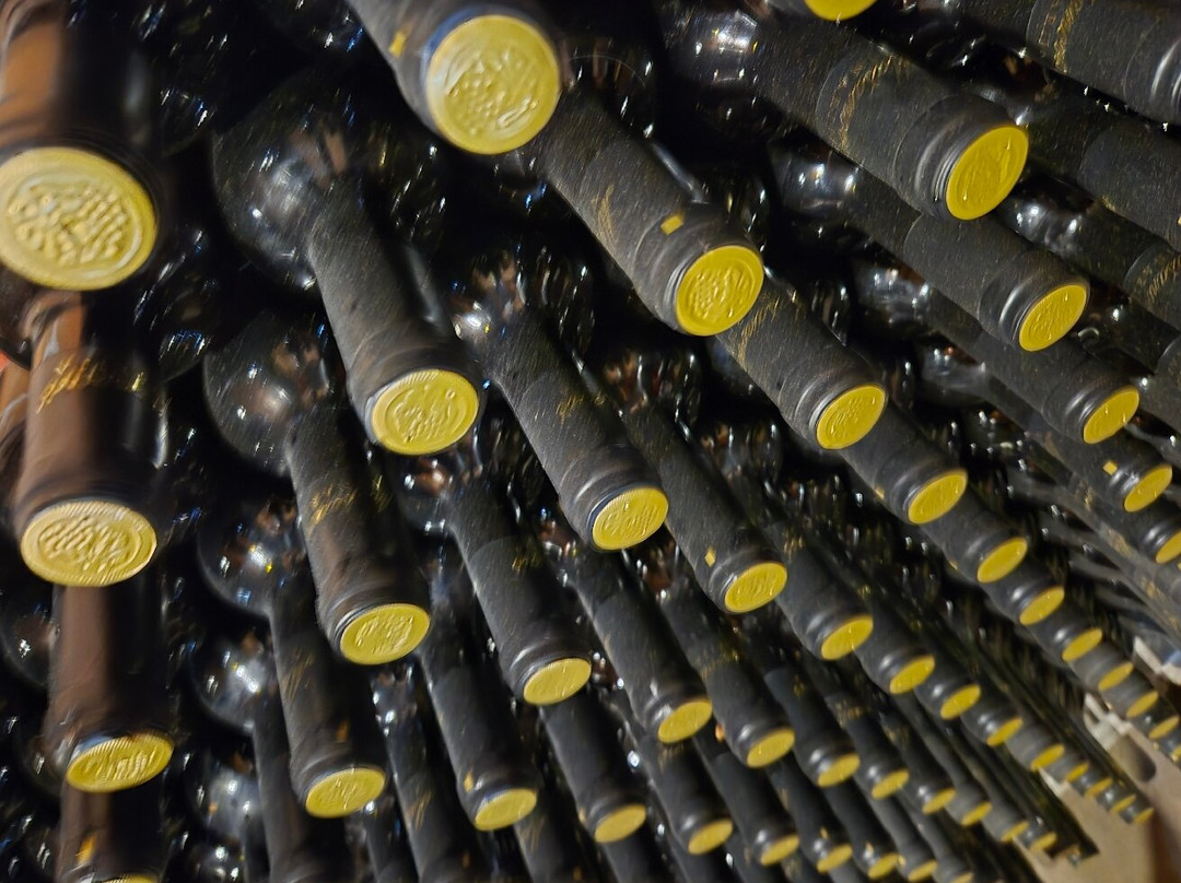 Wine tasting - Winery Masanovic-维尔巴札拉必去景点