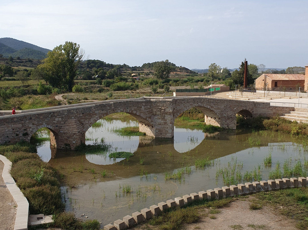 Pont Vell景点图片