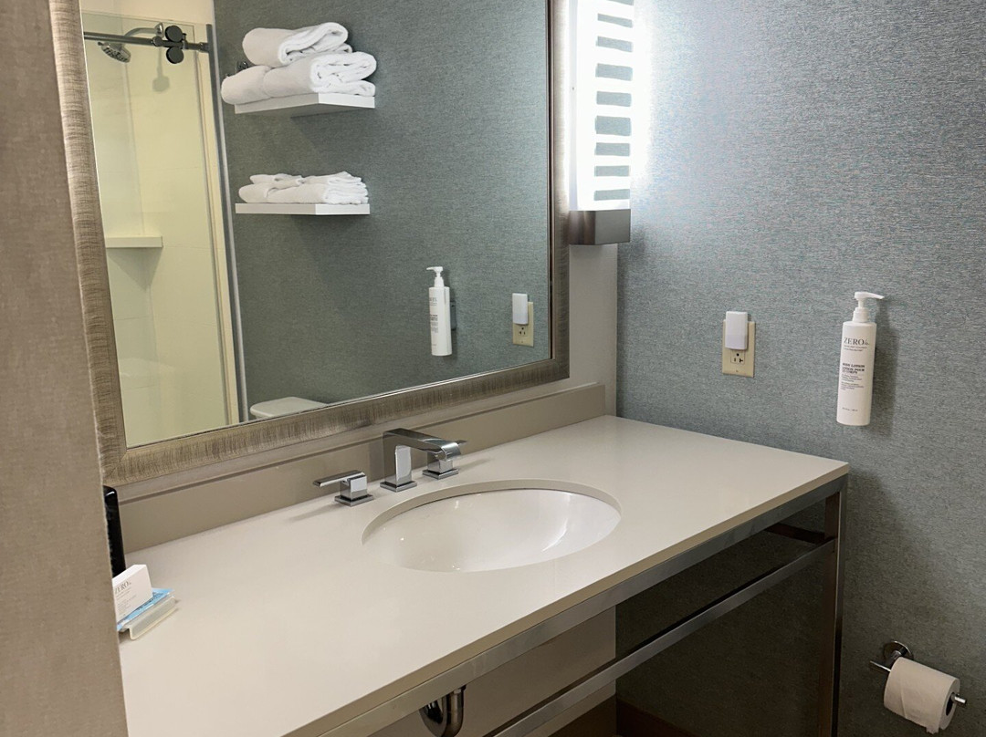 Hilton Garden Inn Pittsburgh Airport主图