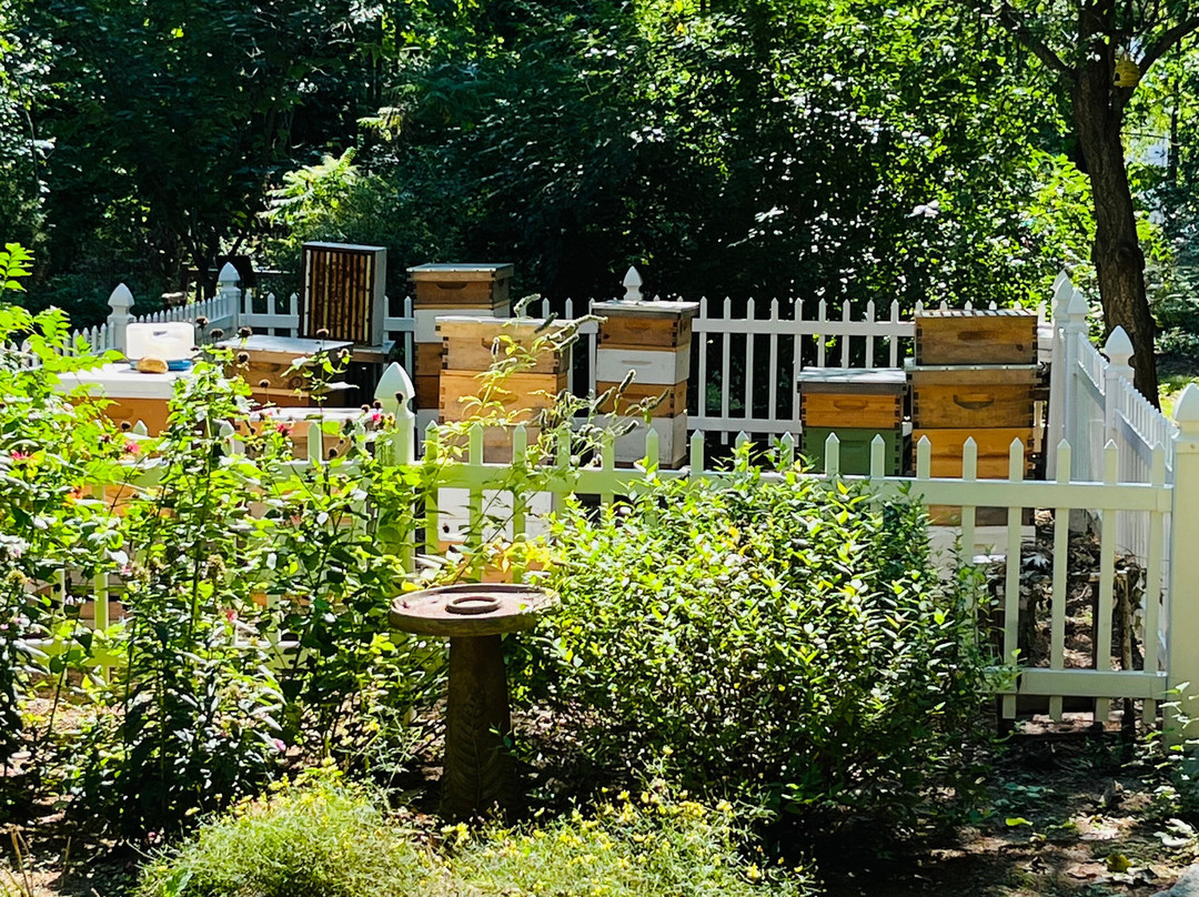 Clark Botanic Garden-Albertson必去景点