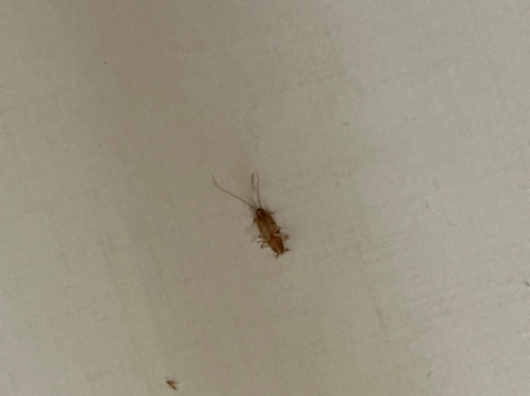 Spark by Hilton Chattanooga Downtown