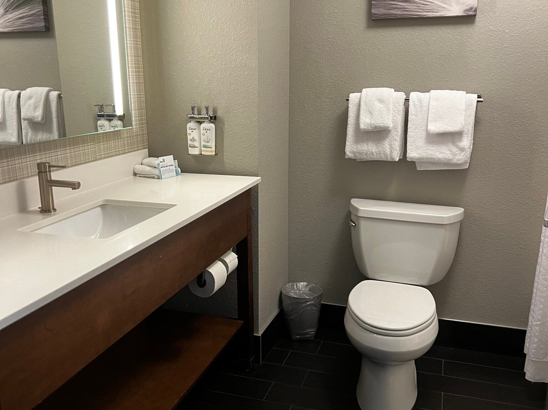 Holiday Inn Express & Suites Cleveland West - Westlake By IHG主图