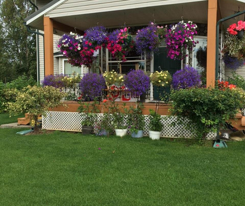 Fishhook Sunrise Bed and Breakfast主图