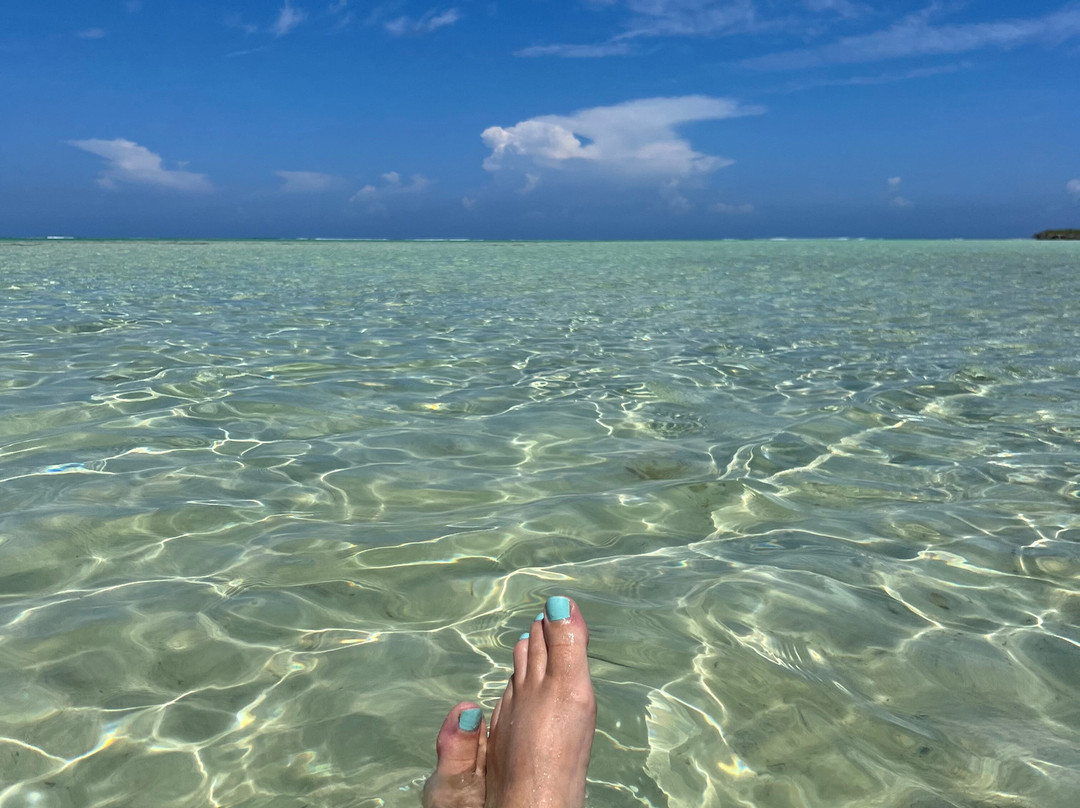 Belmont Car Rental and Tour-North Caicos必去景点