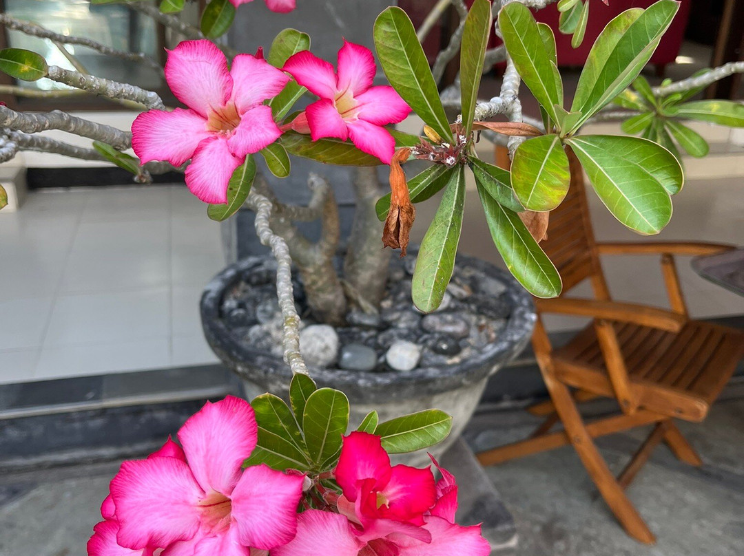 镭射水疗中心酒店主图