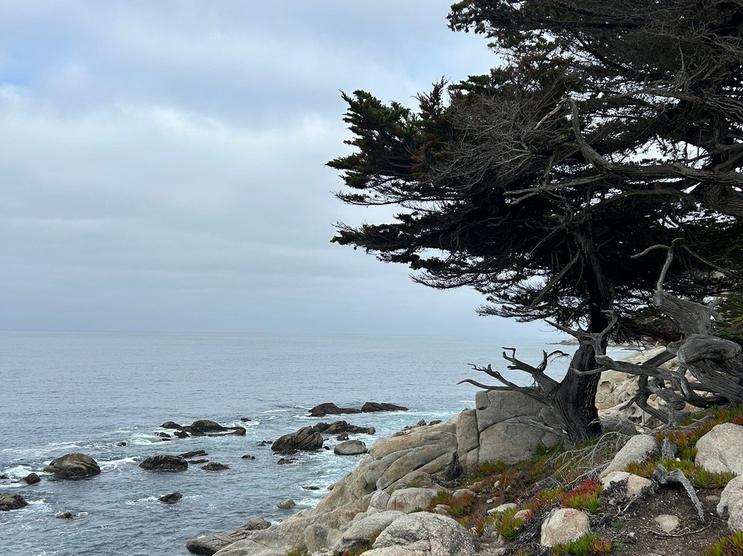 Pebble Beach-Del Monte Forest必去景点