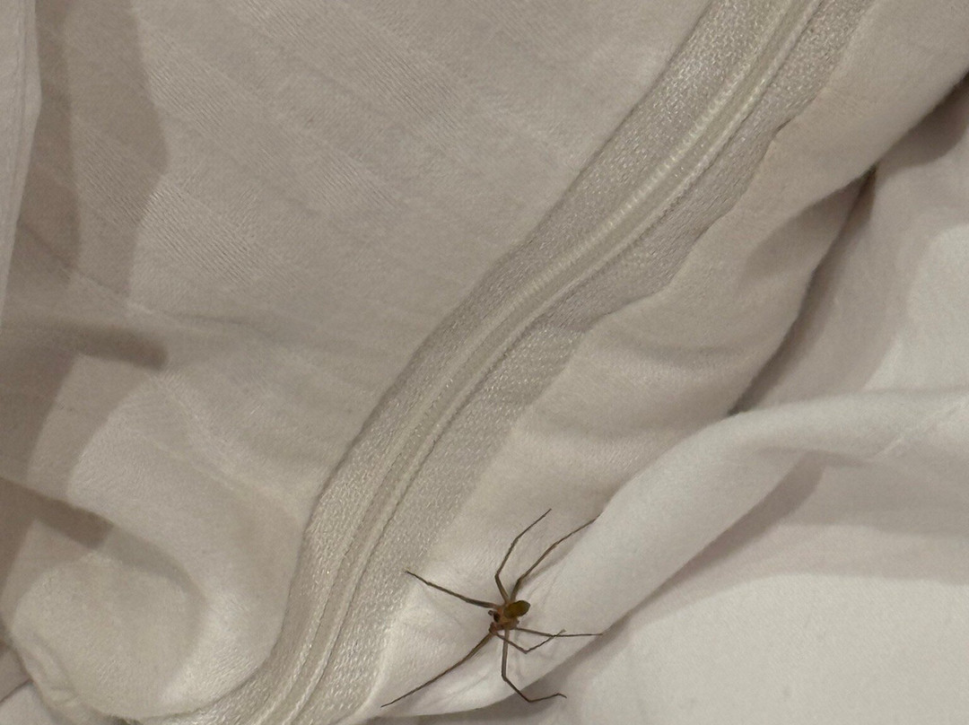 Hotel Rural Carlos Astorga主图