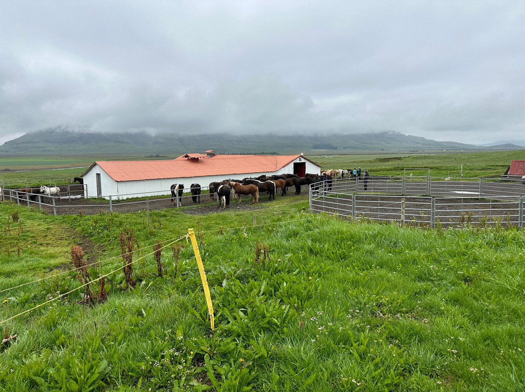 Riding Tours South Iceland-Fludir必去景点