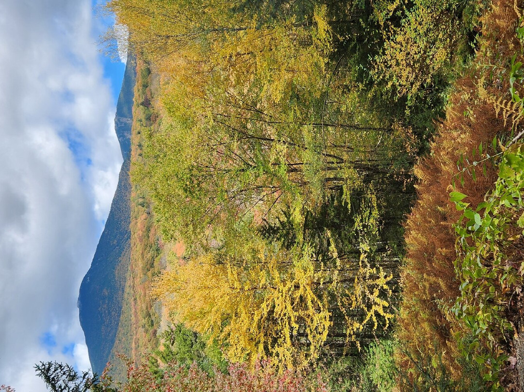 Barron Brook Inn主图