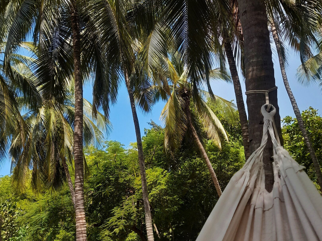 Hotel Irotama Lago主图