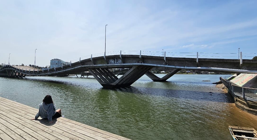 Puente Leonel Viera景点图片