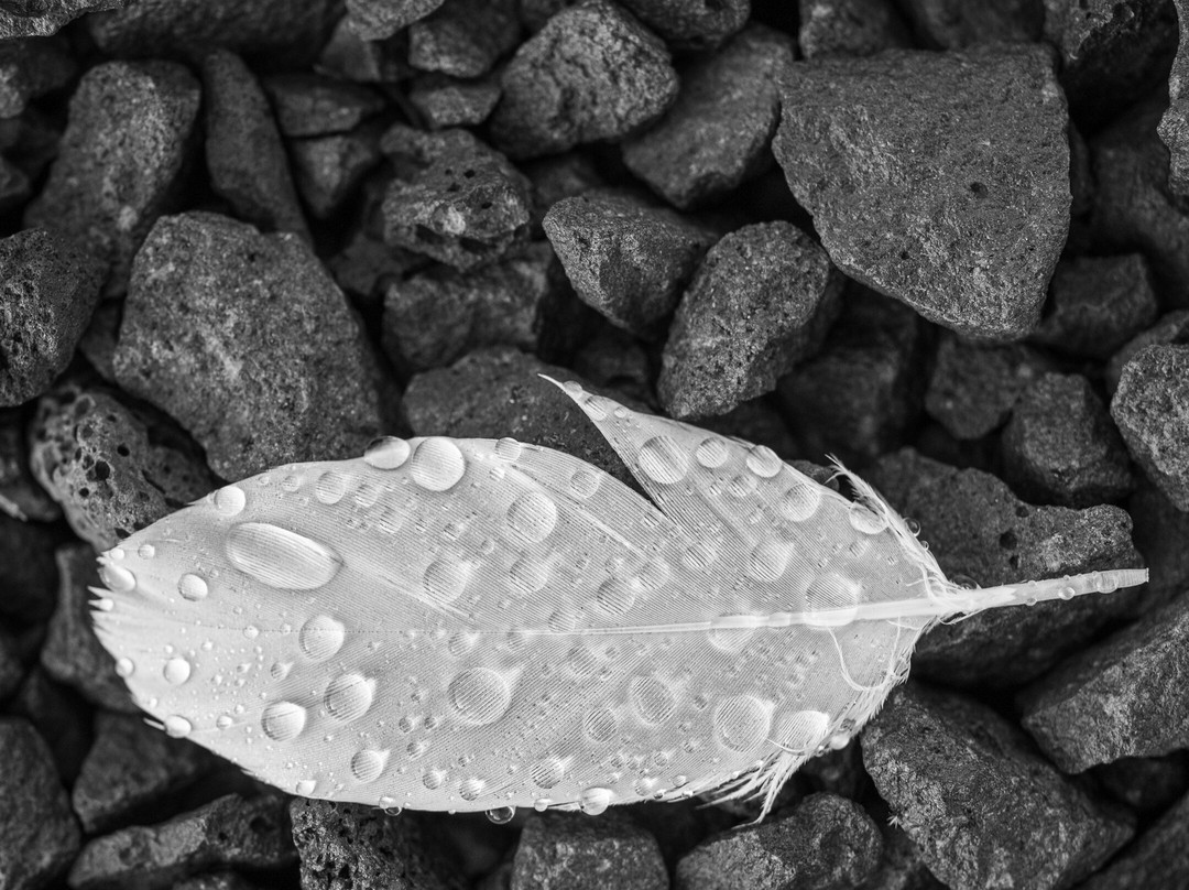 Hotel Nordurljos主图