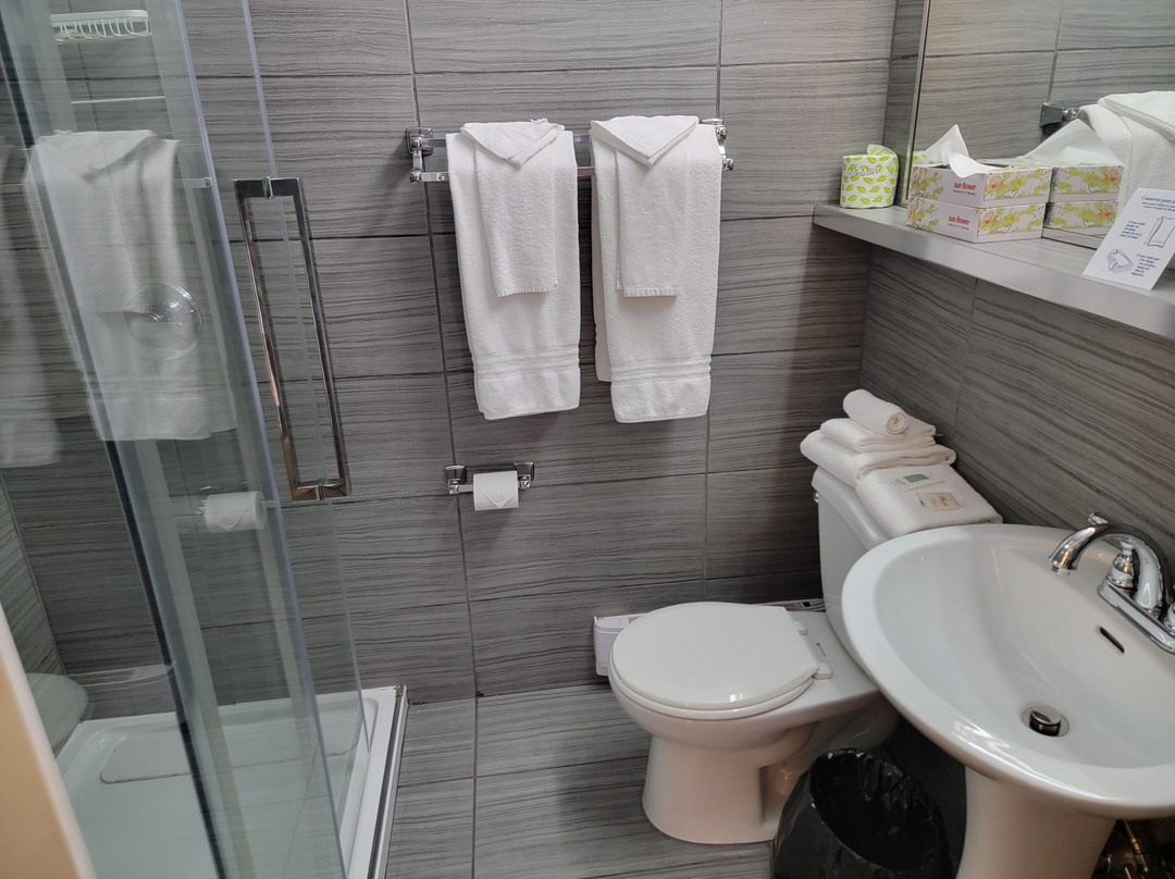 Hotel-Motel Coconut主图